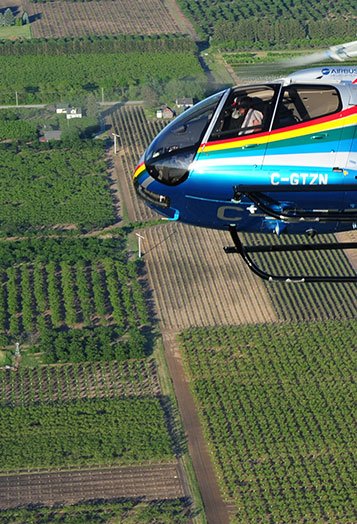 Niagara Helicopters Winery Tour